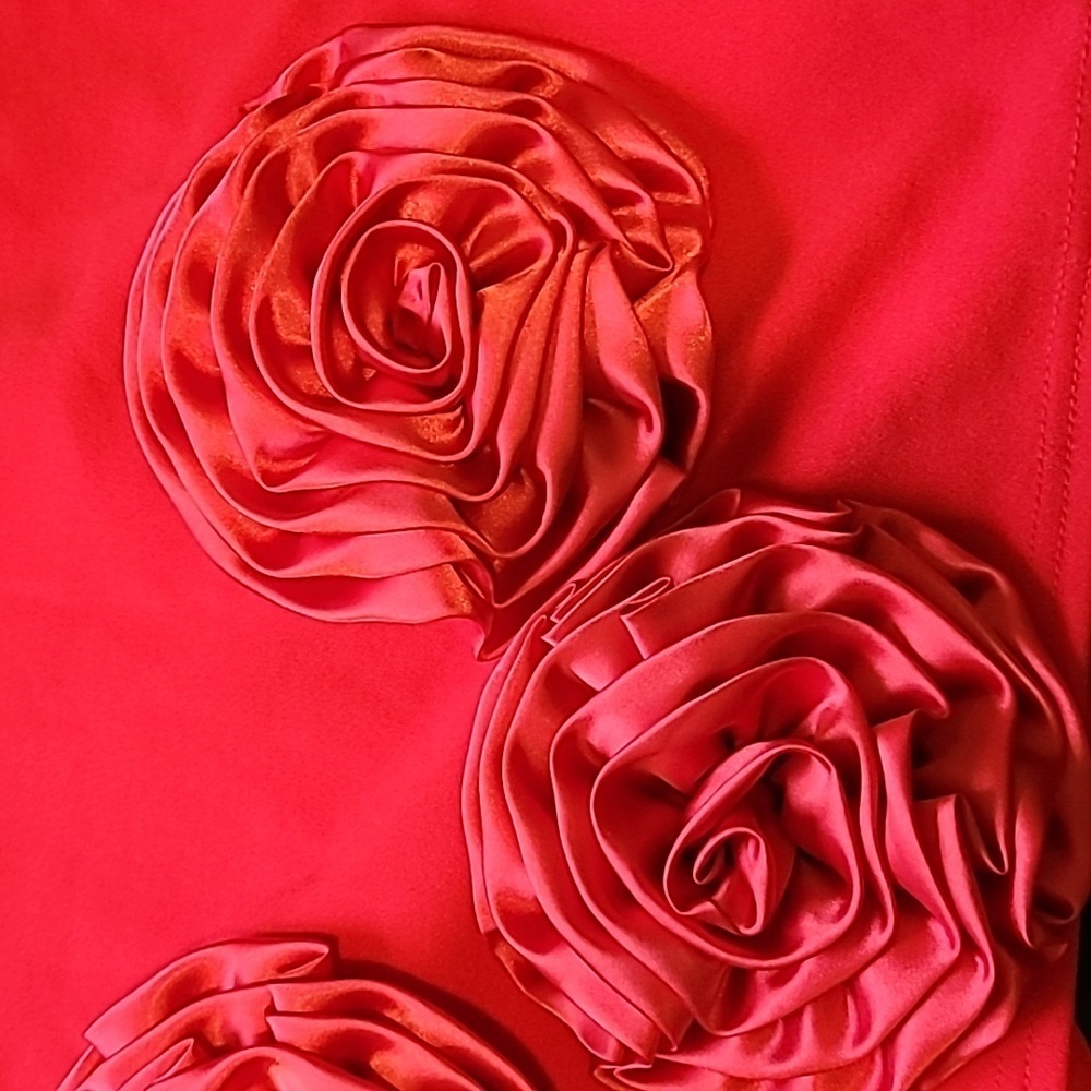 Red flower dress 😍 ♥️ ✨️ - Picture 8 of 11